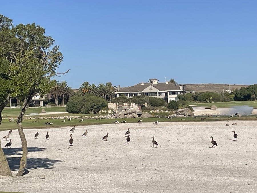 4 Bedroom Property for Sale in Langebaan Country Estate Western Cape